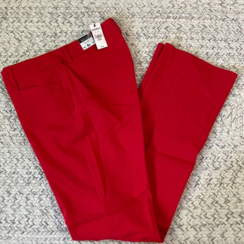 Express Columnist Pants